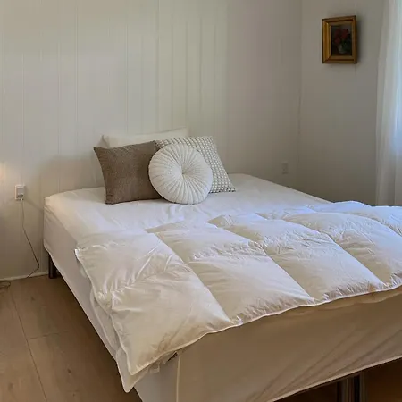 Semesterbostad Pet Friendly In With Sauna Blokhus